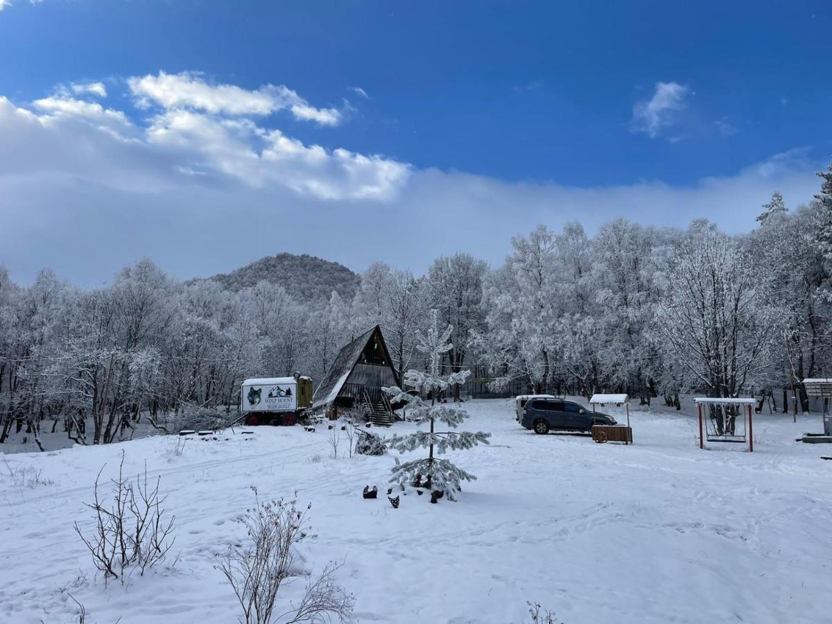 Вилла Glamping Wolf Mount Margahovit Экстерьер фото